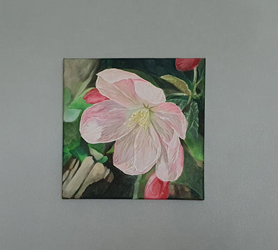 Cherryblossom close up 🌸 | Oil painting
