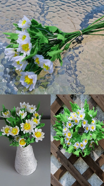 Spring daisy flower
