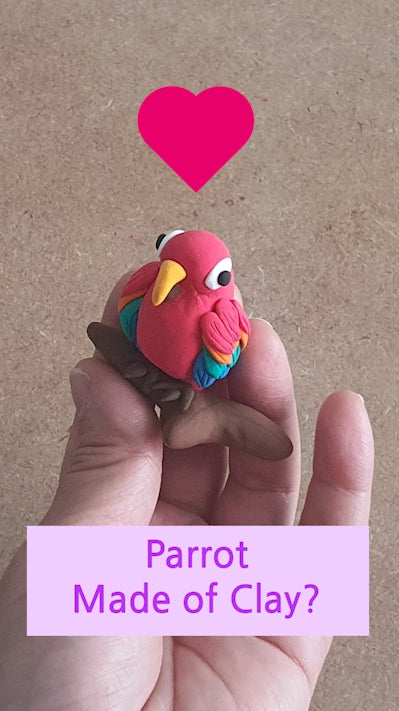 Parrot Made of Clay?!🦜✨