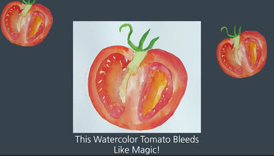 Watercolor Tomato Slice — A Study in Red & Light 🍅