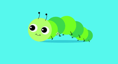 Caterpillar character animation (After effect 2022)