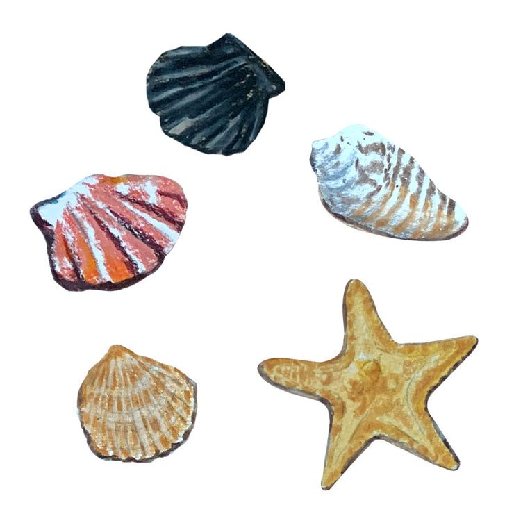 Handcrafted Oil Pastel Images of Seashells and Starfish | Shell Illustrations | Digital Ad Template PNG Files