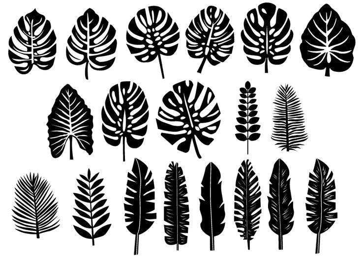 Set of tropical leaves