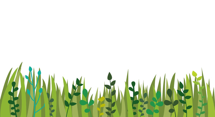 Grass Leaves Images Vector Illustration, Grass background, Digital EPS, AI file